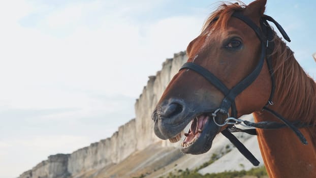 Horse neighing with White Rock mountain in the background, near Belogorsk, Crimea