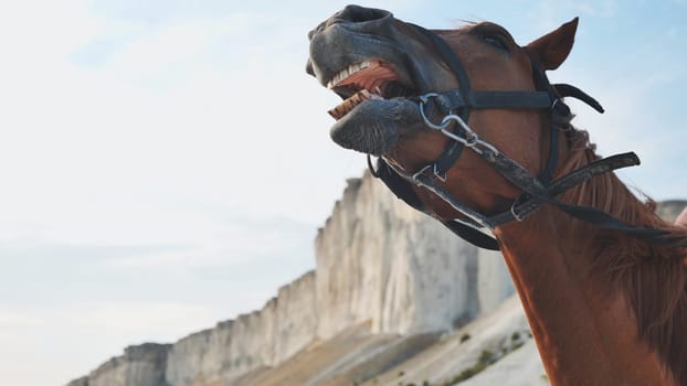 Brown horse neighing with White Rock mountain and blue sky in the background near Belogorsk, Crimea
