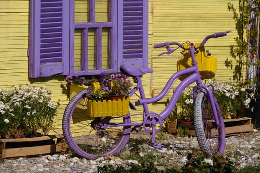 A creative purple bicycle rests next to a cheerful yellow house, embellished with colorful flowers in its basket. The sunlight captures the vivid hues, creating a joyful atmosphere.