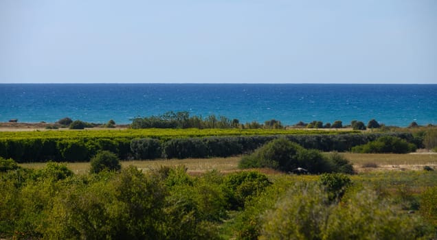 Lush greenery meets the calming turquoise waves of the sea under a clear blue sky. A tranquil coastal landscape showcasing nature’s vibrant hues invites peaceful reflection.