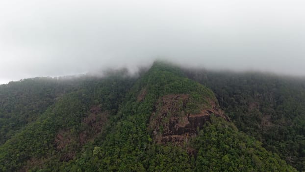 Low clouds enveloping the peaks of a lush green mountain range create a serene atmosphere over the dense tropical rainforest, showcasing the beauty of this untouched wilderness