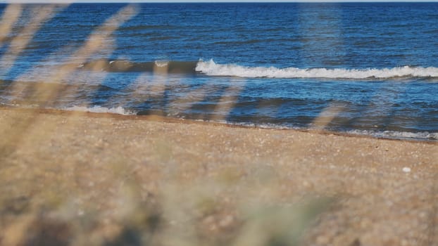 Calm blue sea waves washing sandy beach through blurred grass on sunny summer day in Crimea