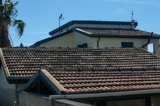 Terracotta tiles glisten as sunlight warms the rooftops of a peaceful residential area, highlighting the vibrant greenery of nearby palm trees against a clear blue sky.