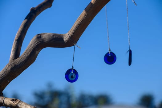 In a tranquil outdoor setting, striking blue glass ornaments are suspended from a gnarled branch, catching the sunlight against the backdrop of a serene sky, evoking a sense of peace.