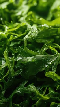 Close-up view showcases the rich textures and colors of leafy greens, enhanced by citrus spritz.