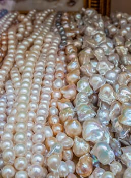 Loads of cultured pearls in bulk. Selective focus