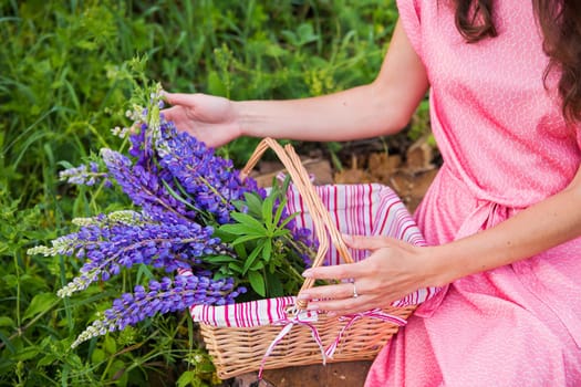 A young woman in a pink dress gently places a basket brimming with vibrant purple lupine flowers.