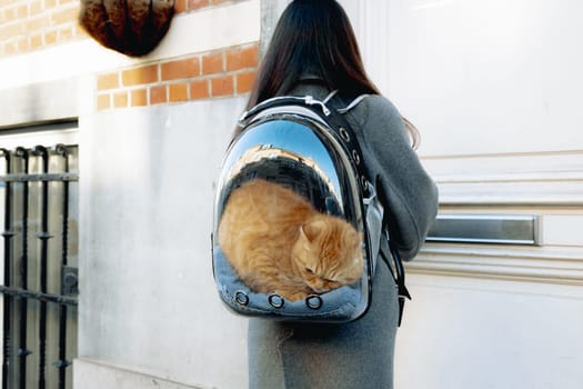 Portrait of a young Caucasian brunette girl from the back, half-length, in a gray coat with a transparent backpack with a red scared cat, which sits inside and opens the front door with a key, returning from a walk, side view, close-up. Concept of a visit to the vet, walks with pets.