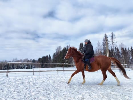 A rider enjoys a leisurely ride on a chestnut horse through fresh snow under a bright blue sky filled with clouds.