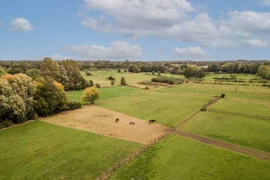 an aerial view of a field with horses in the distance and some trees on either side, as seen from above