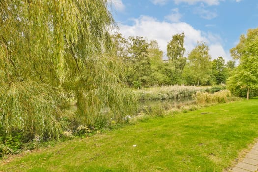 some trees and grass in the park with blue sky background stock photo - 12309783 jpd