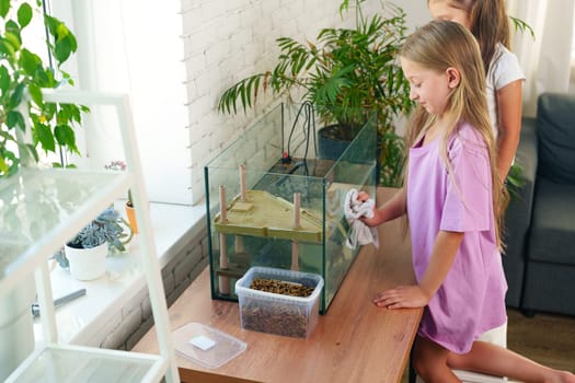Two young girls engage in cleaning a terrarium. They are focused on removing dirt from the glass enclosure while surrounded by greenery, creating a lively and fresh atmosphere.