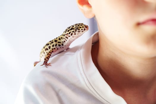 A young boy with a calm expression has a leopard gecko resting on his shoulder, showcasing the bond between kids and reptiles in a bright indoor environment.