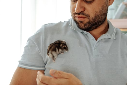A man is engaging with a small hamster that is perched on his shoulder. The interaction showcases a moment of affection in a well-lit indoor space with soft natural light.