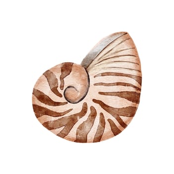 Hand drawn watercolor illustration of nautulus cephalopod family Nautilidae. beige brown shell fossil sea ocean design, marine nautical aquatic mollusc natural print scientific art