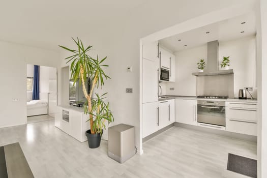 A stylish modern kitchen seamlessly integrates with a contemporary living space, showcasing sleek cabinets and green plants for a fresh ambiance.