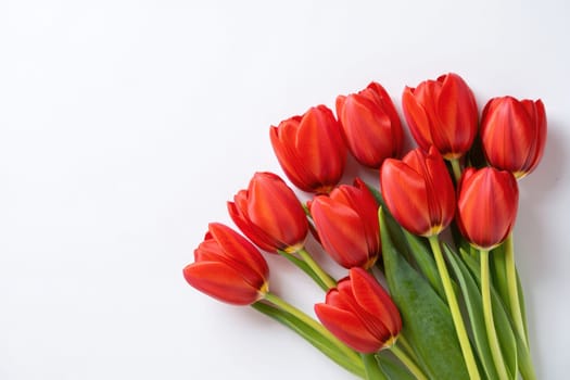 A vibrant bouquet of red tulips is displayed against a clean white background. The flowers showcase their vivid colors and smooth petals, with green leaves enhancing their freshness.