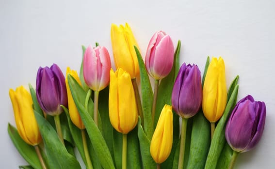 A vibrant arrangement of tulips in various colors including purple, yellow, and pink stands out against a light backdrop. This display captures the essence of spring with blooming flowers.