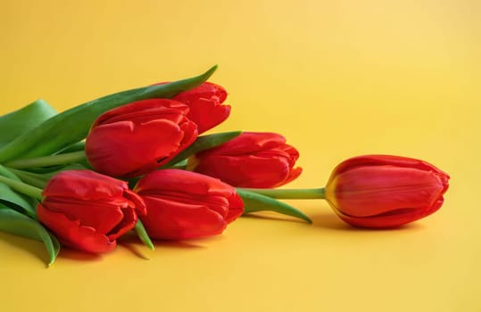 A beautiful bunch of bright red tulips rests on a sunny yellow background. The flowers are fresh and lively, representing the joy and beauty of spring.