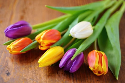 A vibrant collection of tulips in various colors, including purple, orange, yellow, and white, are artistically arranged with fresh green leaves, perfect for brightening a spring day.