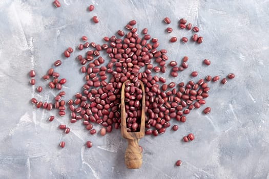 Wooden scoop full of dried azuki beans on gray table top view. Healthy vegetarian food, legumes protein source. Traditional East Asiancousin ingredient