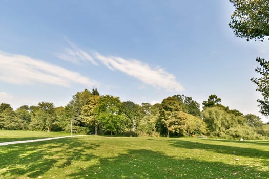 A serene park landscape featuring lush greenery, towering trees, and a bright blue sky with wispy clouds, creating a peaceful outdoor atmosphere.
