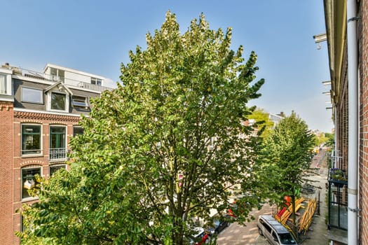 A vibrant scene showcasing a large leafy tree amidst a charming urban landscape, blending nature with city life.