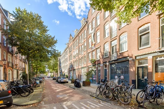 A picturesque street scene featuring bicycles parked along a beautiful tree-lined avenue. The buildings exhibit unique architecture under a clear sky.