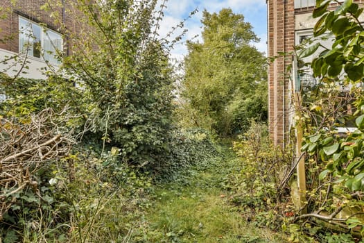 A vibrant pathway surrounded by dense foliage and plants, showcasing nature's beauty and the wilderness in an urban setting. A hidden gem waiting to be explored.