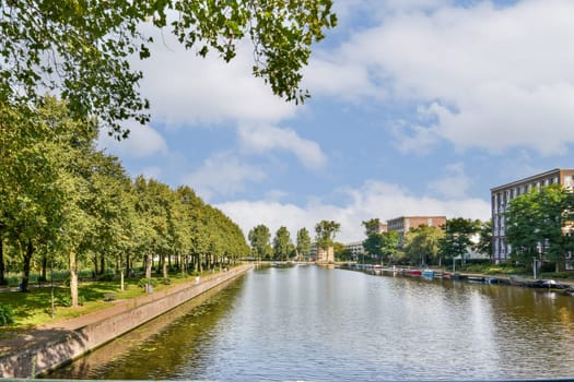 A picturesque view of a serene river gently flowing alongside a line of green trees, under a bright, partly cloudy sky. A peaceful escape into nature.