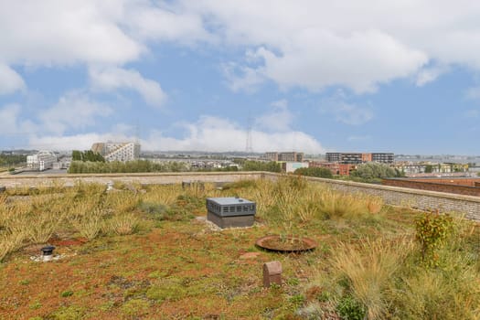 A vibrant urban rooftop scene showcasing lush greenery contrasted against a modern city skyline under a dramatic sky. A mix of nature and architecture is evident.