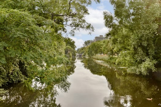 A tranquil river flows through a lush landscape, reflecting the vibrant greenery of trees along its banks. The peaceful scene invites relaxation and contemplation.