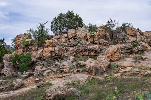 Granite outcropping with cactus and hardy trees growing alongside Ink Lake State Park in Texas