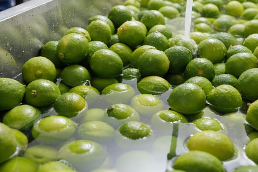 Large batch of fresh green limes being washed and prepared at a citrus processing facility, ready for distribution.