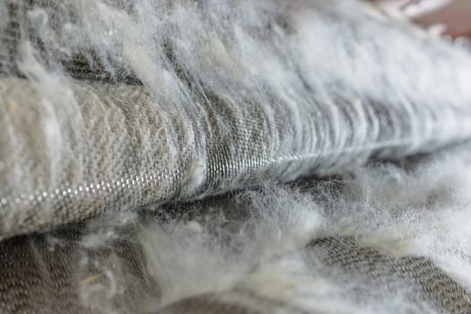 Close-up of raw wool fibers processed on a textile carding machine in a modern wool manufacturing facility.