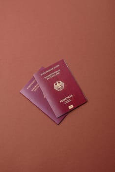 German passport, German document for travelling, border crossing, for business purposes