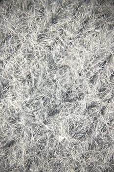 Close-up view of fabric fibers under a microscope, revealing intricate texture and structural complexity.