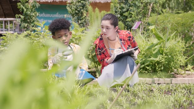 Happy children farmer hands holding magnifying glass and looking at vegetables in hydroponics farm, Biotechnology kid examining plant leaf, agriculture school learning research for science concept