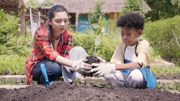 Children group girl and boy of diverse learning environment for plants vegetable at garden farm, Cute child learn gardening, Ecology, organic food, agriculture school learning