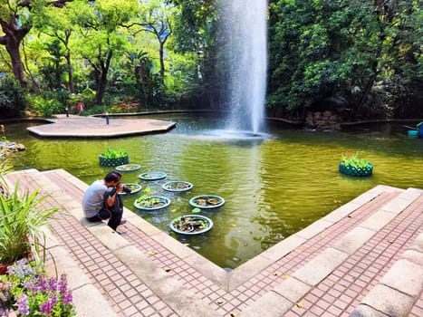 A person sits beside a serene pond, taking photos of floating lily pads as a fountain cascades nearby, framed by lush foliage.