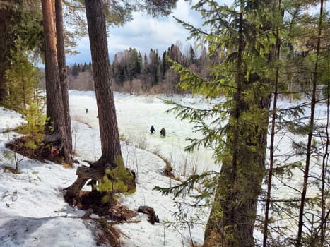 Two individuals sit on a frozen river, surrounded by tall trees, engaging in ice fishing under a cloudy sky in early spring.