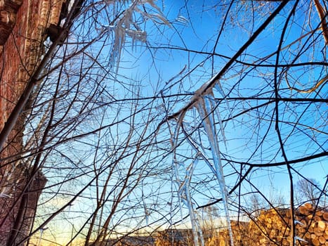 Icicles glisten in the sunlight as they hang from bare branches, creating a serene winter atmosphere at dusk in a quiet neighborhood.