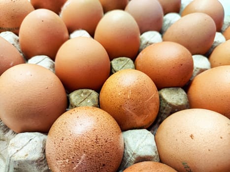 Various brown eggs are displayed in a carton, showcasing their natural textures and colors, perfect for cooking and baking.