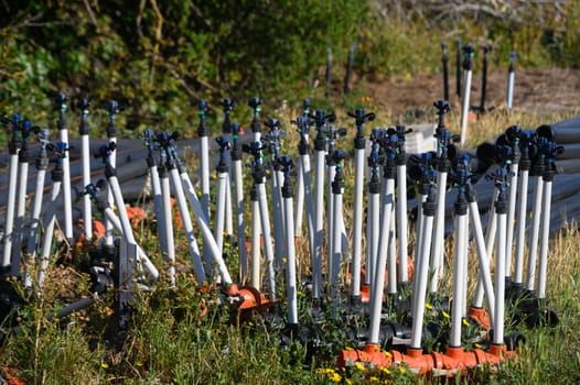 In a sun-drenched garden, a variety of sprinklers lean against each other amidst lush green grass and wildflowers, showcasing a harmonious blend of nature and irrigation tools under a clear sky.