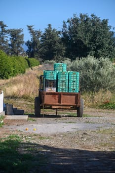 A sturdy cart filled with green crates rolls down a dirt path, surrounded by vibrant fields and trees on a sunny day. Nature thrives in this peaceful rural landscape.