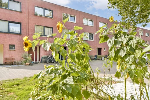 Lush sunflowers in the foreground enhance the vibrant exterior of contemporary buildings, showcasing a blend of nature and architecture.