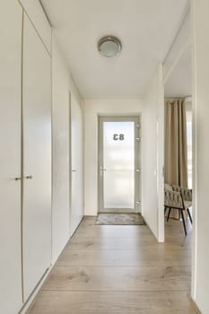 A bright, modern hallway featuring sleek white walls, wooden flooring, and a stylish door. The decor includes minimalistic design elements for a clean look.