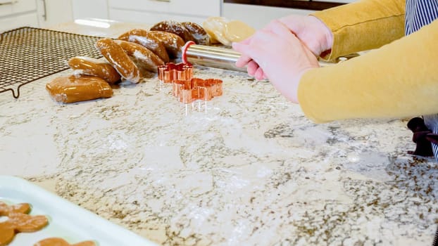 Using various festive cookie cutters, we're cutting out charming gingerbread cookies from the rolled dough on the sleek marble counter, bringing holiday cheer to the modern kitchen.