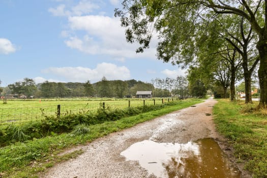 A tranquil rural pathway lined with trees and fields, showcasing a puddle reflecting the sky and nearby vegetation, inviting peaceful strolls in nature.