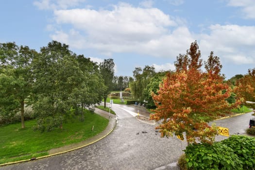 A picturesque view of a winding road embraced by vibrant trees and a clear sky, inviting exploration amidst nature's beauty and serenity.